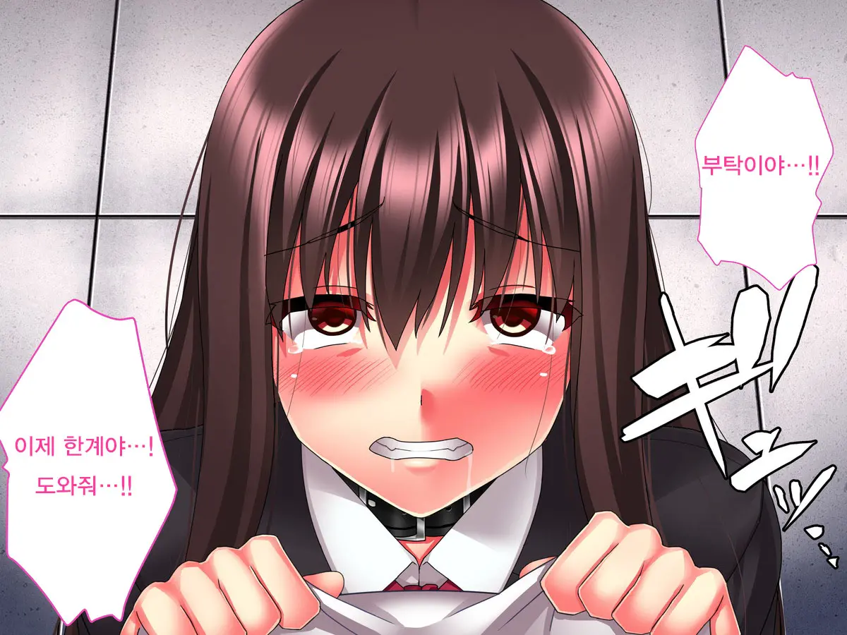 Kimeseku Nikuana Pet ~ Boku O Futta Takabisha Onna O Kankin Site Kusuri De Kuppuku Saseru ~